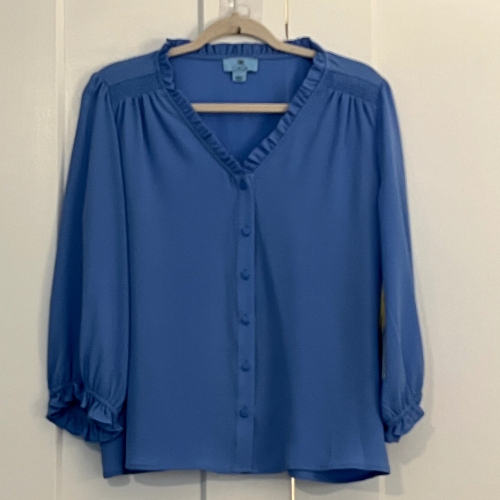Cornflower blue button-up blouse  - Size L - NWT